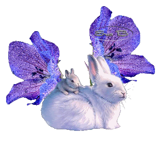 анимация белые кролики