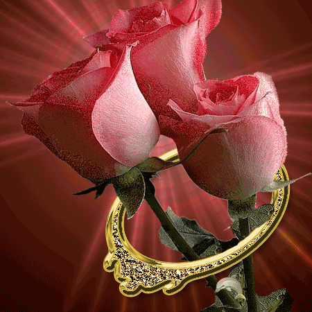 три розовые розы