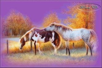 блестяшка лошади на лугу