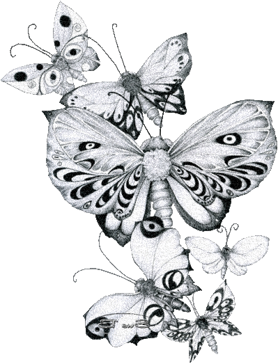 серебряные бабочки